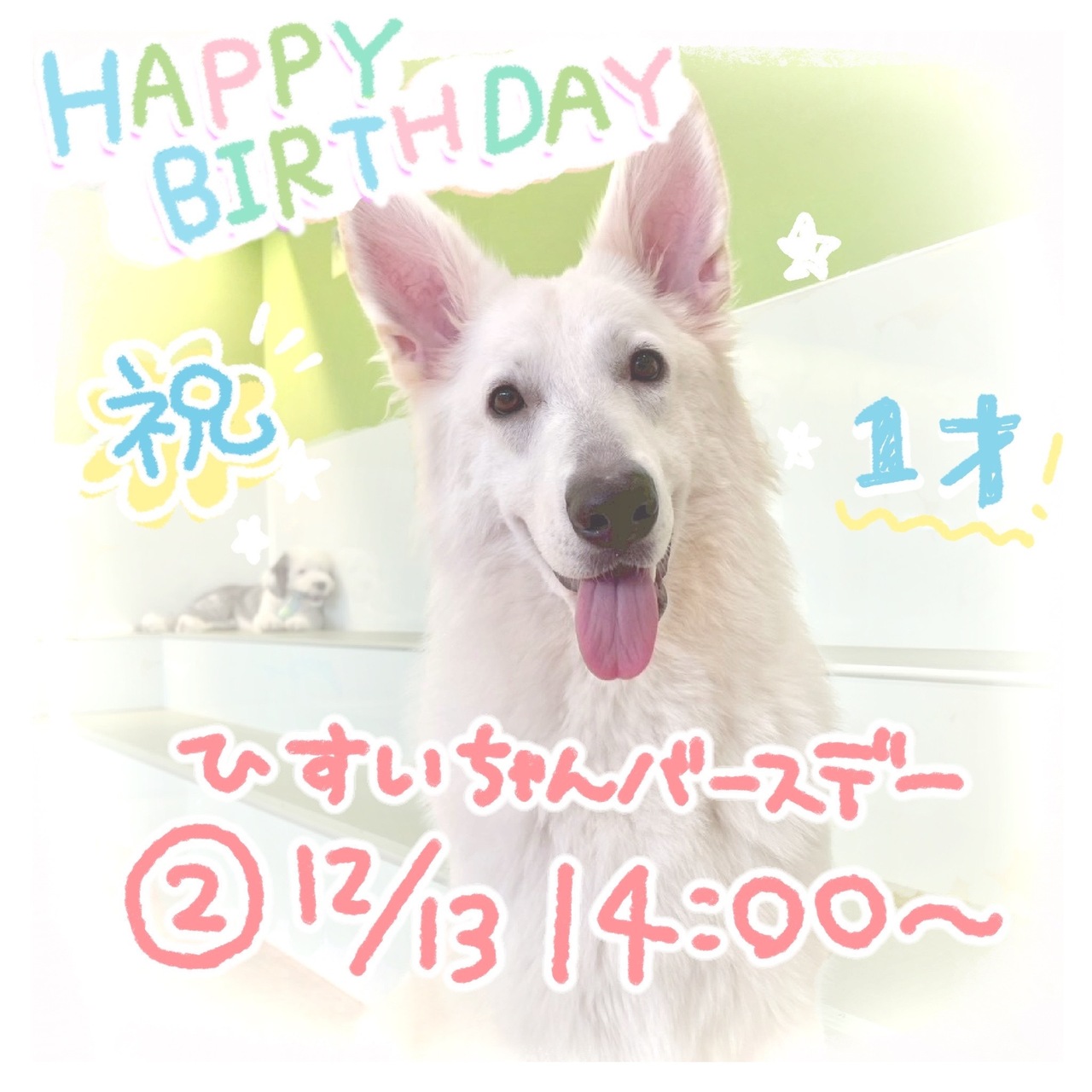 ã12/13ðç¿¡ç¿ ããŒã¹ããŒäºçŽðãããµããµã¿ã€ã 60åã1ããªã³ã¯ä»ãã