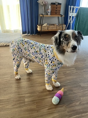 Fit Wanさん特許の製図法型紙でつくる！ロンパース・ラッシュガード講座