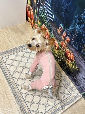 Fit Wanさん特許の製図法型紙でつくる！ロンパース・ラッシュガード講座