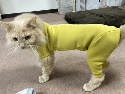 Fit Wanさん特許の製図法型紙でつくる！ロンパース・ラッシュガード講座