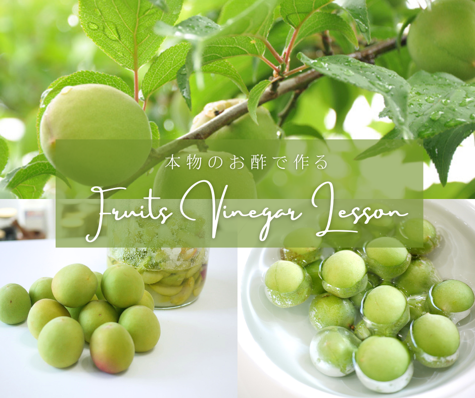 《錢屋塾》中野酢 中野貴久子先生に学ぶフルーツビネガー酵素作り教室『青谷の梅~白加賀~』