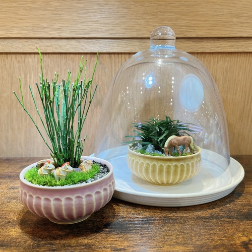 渋谷ヒカリエ】 苔盆栽ワークショップ