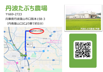 【援農/丹波篠山】2025年12月6日（土）黒大豆の収穫/丹波たぶち農場　