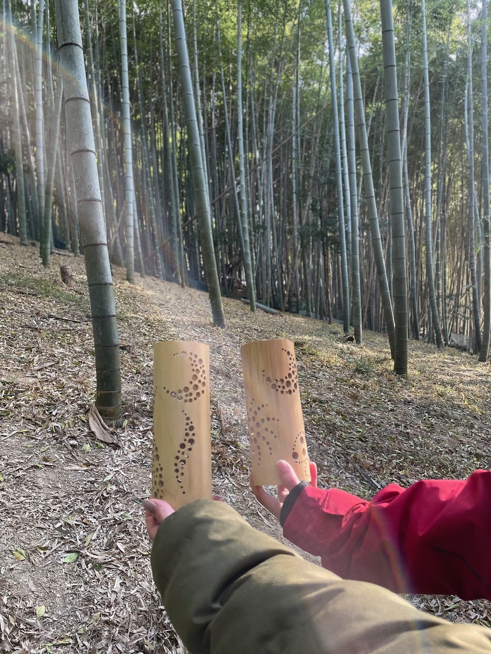 【自然体験】竹伐採＆ランタンづくり