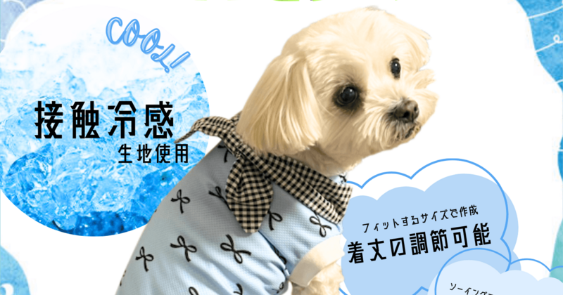 湘南モールフィル店】わんこ服体験会(リボンタイ付きクールシャツ)