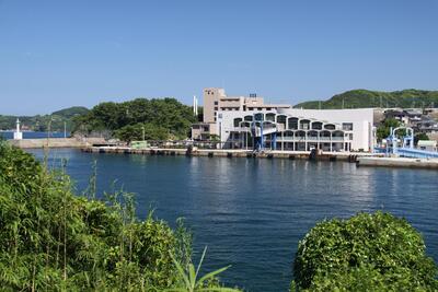 ごうのうら　まちあるき　ガイドツアー