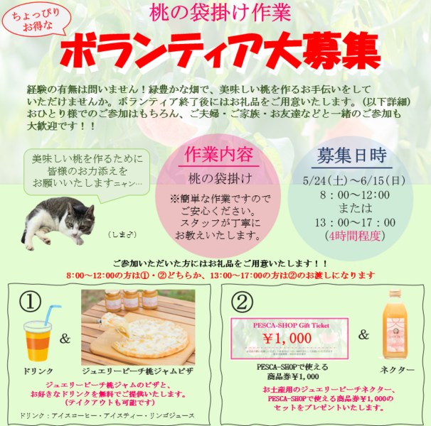 【ボランティア大募集】ちょっぴりお得な農作業ボランティア