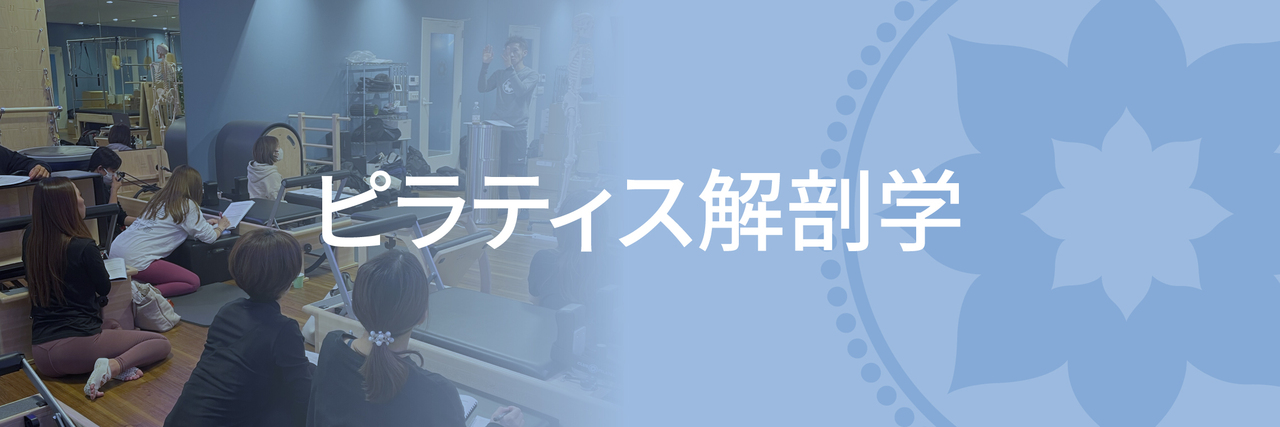 ピラティス解剖学（リアル講座）_ws初回