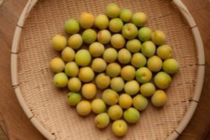 【6月】保存食の教室　