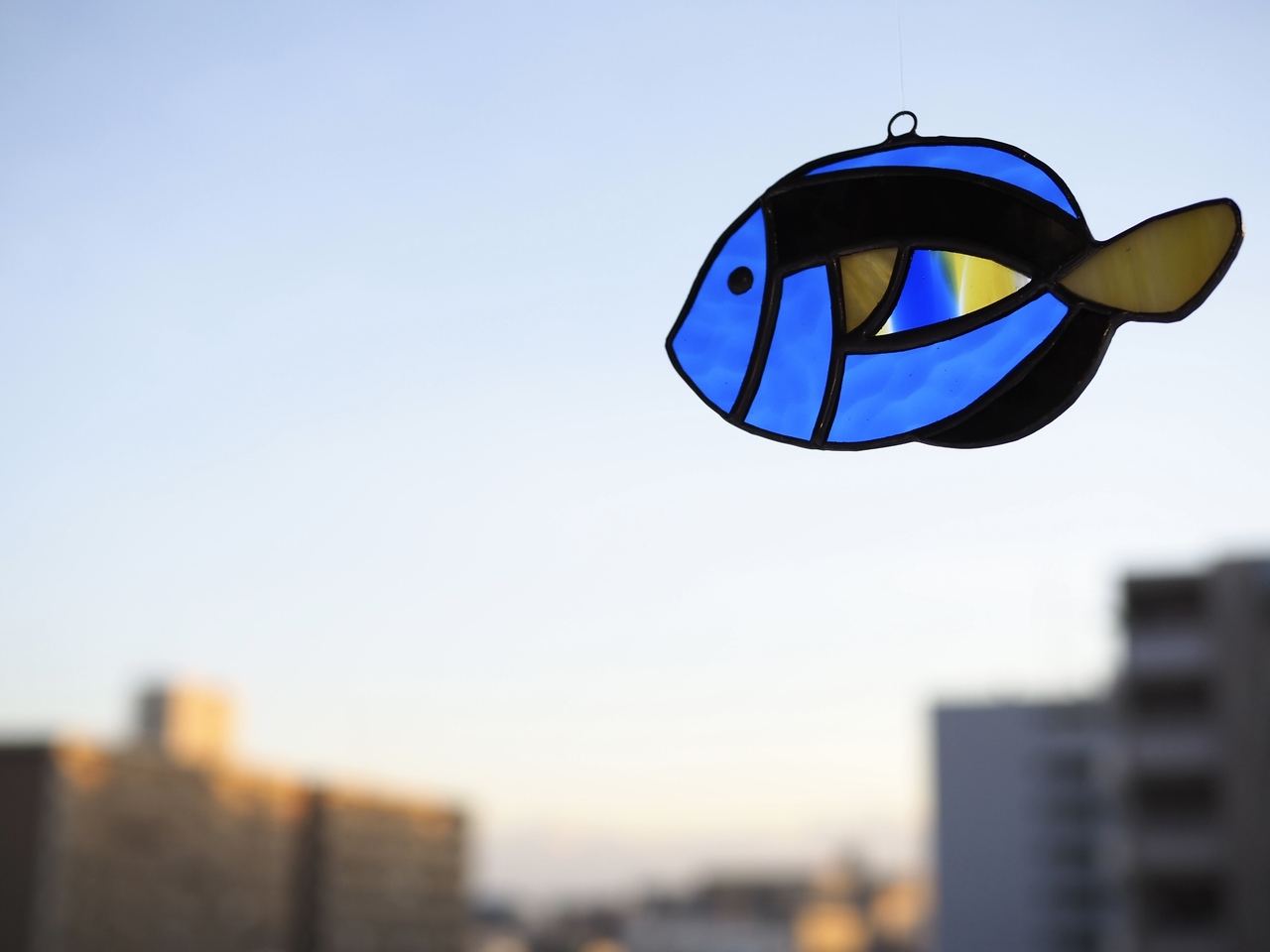 《錢屋塾》ikeda satomi ステンドグラス講座～ナンヨウハギ～