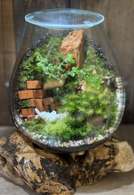 【garage TOKYO】大人気の流木ガラスの苔テラリウムワークショップ　【いなみ】