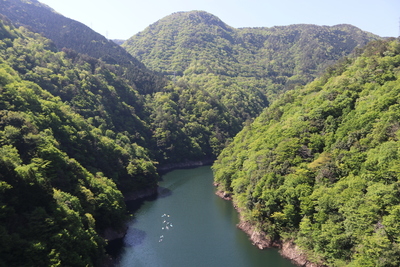龍姫湖カヤックレイククルージング（60分）【広島・湖・カヤック/カヌー】