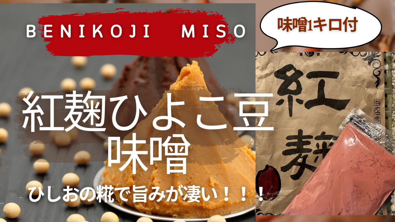 台湾の紅麹＊ひしおの麹でひよこ豆の味噌づくりワークショップ＆紅麹ランチ