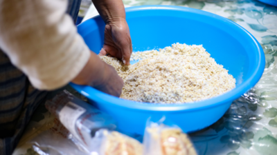 台湾の紅麹＊ひしおの麹でひよこ豆の味噌づくりワークショップ＆紅麹ランチ