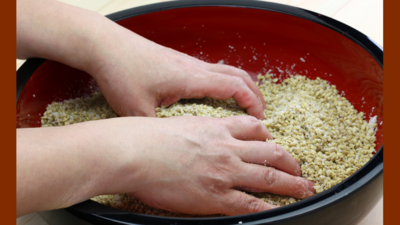 台湾の紅麹＊ひしおの麹でひよこ豆の味噌づくりワークショップ＆紅麹ランチ