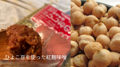 台湾の紅麹＊ひしおの麹でひよこ豆の味噌づくりワークショップ＆紅麹ランチ