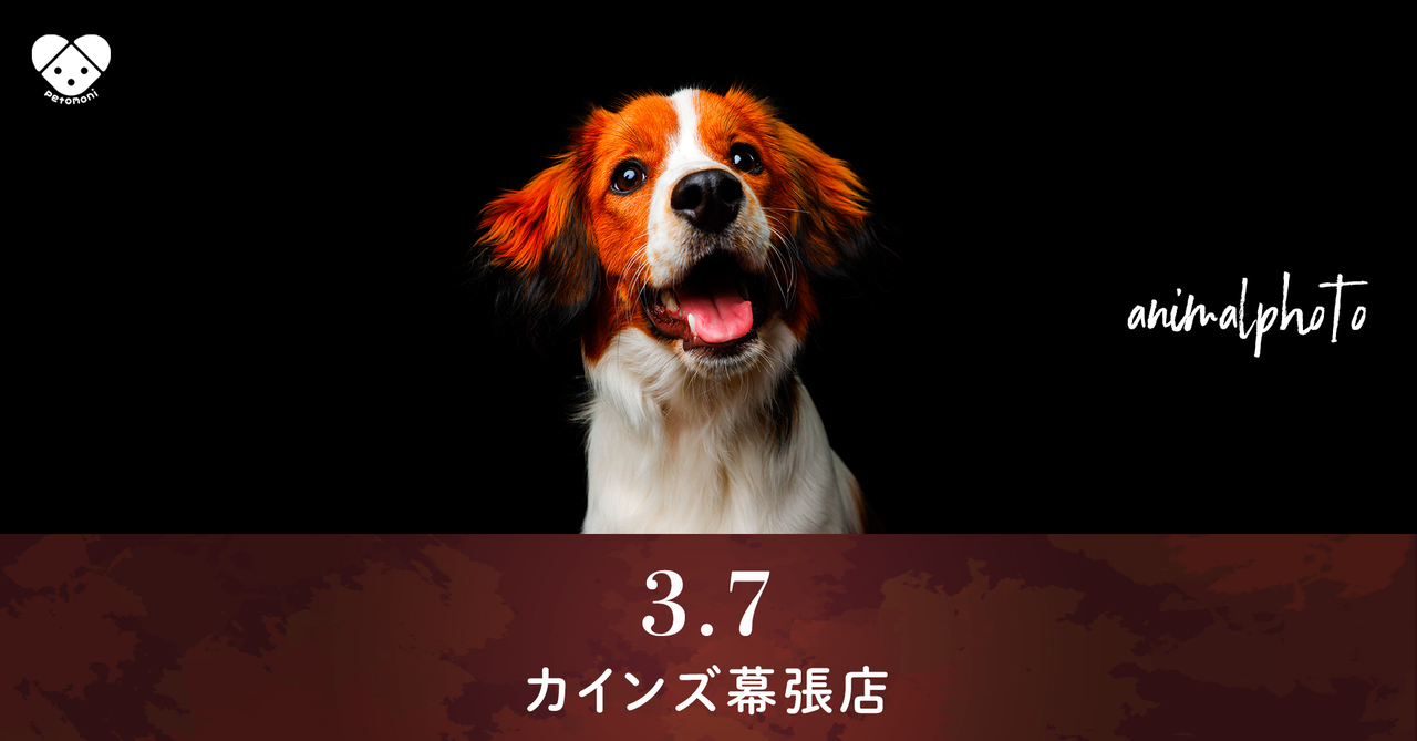 千葉県【カインズ幕張店】2026年3月7日(土)