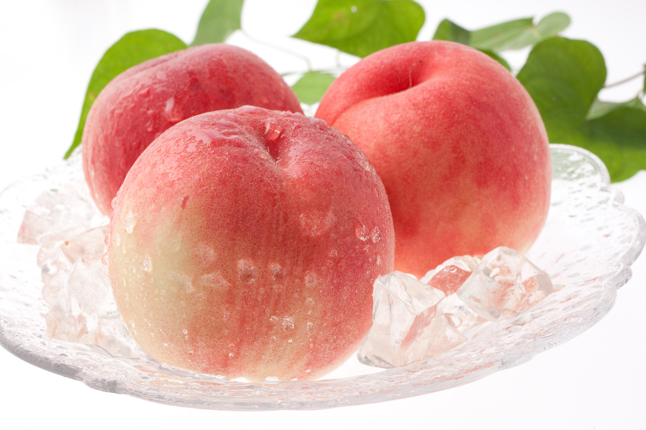 【文化講座】8/9原和人先生の俳句教室