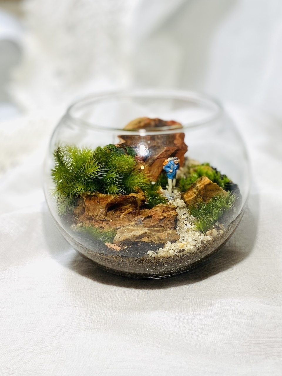 【ガーデンガーデン豊橋】「MY STORY」〜毎日に癒しを添える苔テラリウム〜【メグリナ】