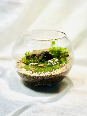 【ガーデンガーデン豊橋】「MY STORY」〜毎日に癒しを添える苔テラリウム〜【メグリナ】