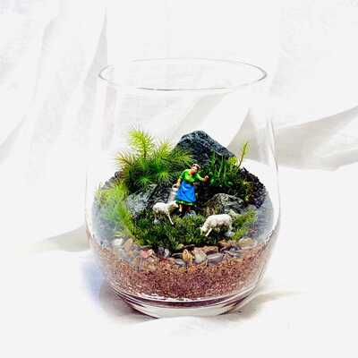 【ガーデンガーデン豊橋】「MY STORY」〜毎日に癒しを添える苔テラリウム〜【メグリナ】