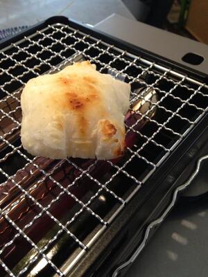 おもち Mochi_DOTONBORI