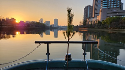 おもち Mochi_DOTONBORI