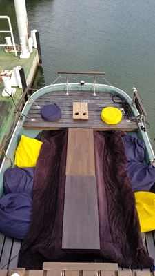 おもち Mochi_DOTONBORI