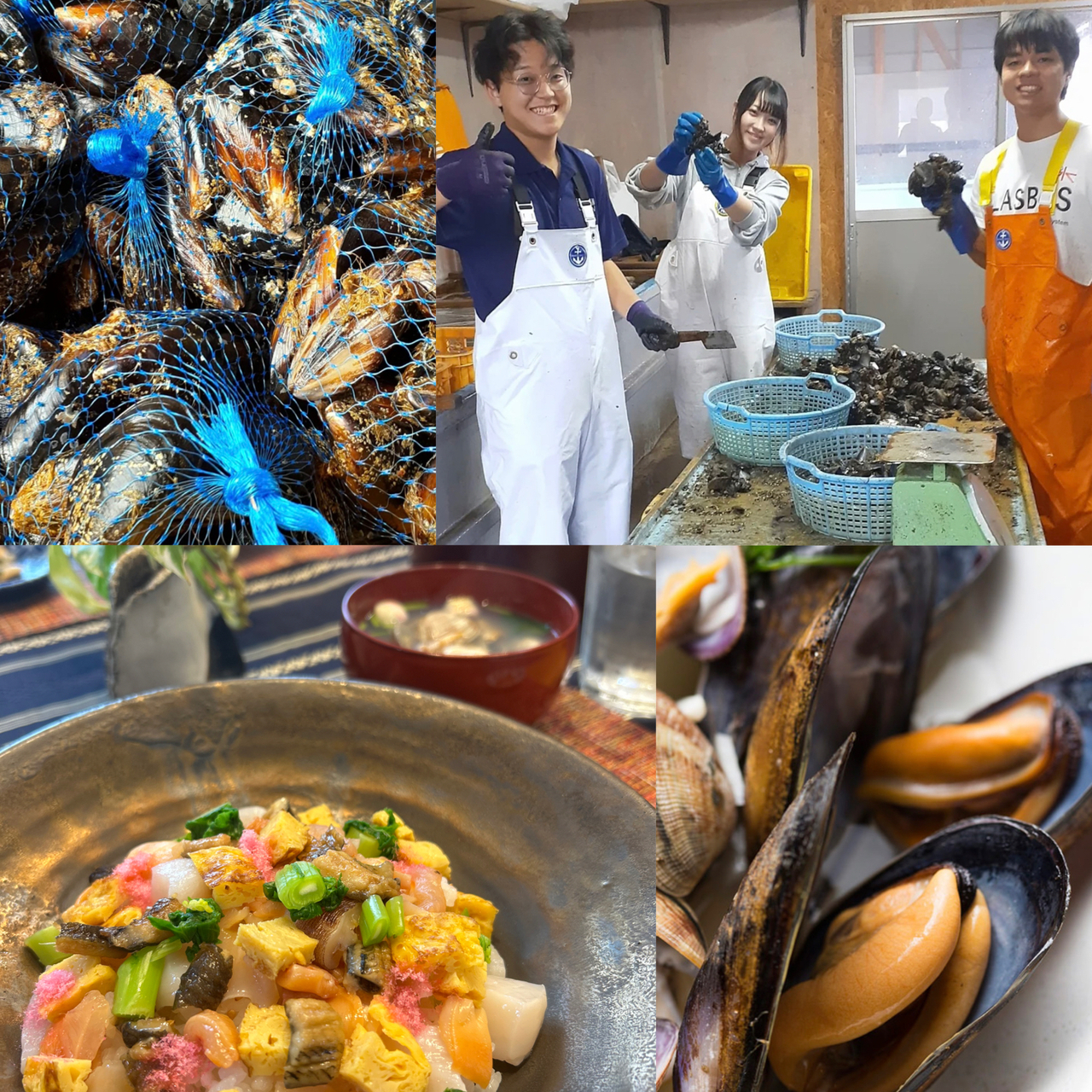 陸奥湾漁師直送　ムール貝と自家製桜でんぶでちらし寿司