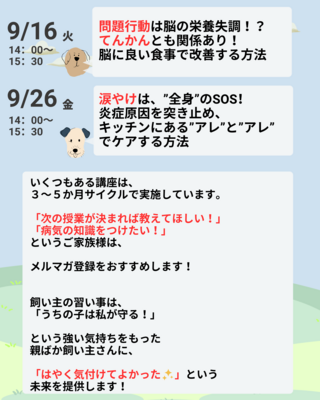 木原先生と、愛犬・愛猫の根本治療を学ぶ