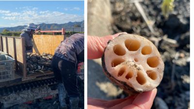 秋の徳島スペシャル発酵ツアー2023