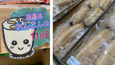 秋の徳島スペシャル発酵ツアー2023