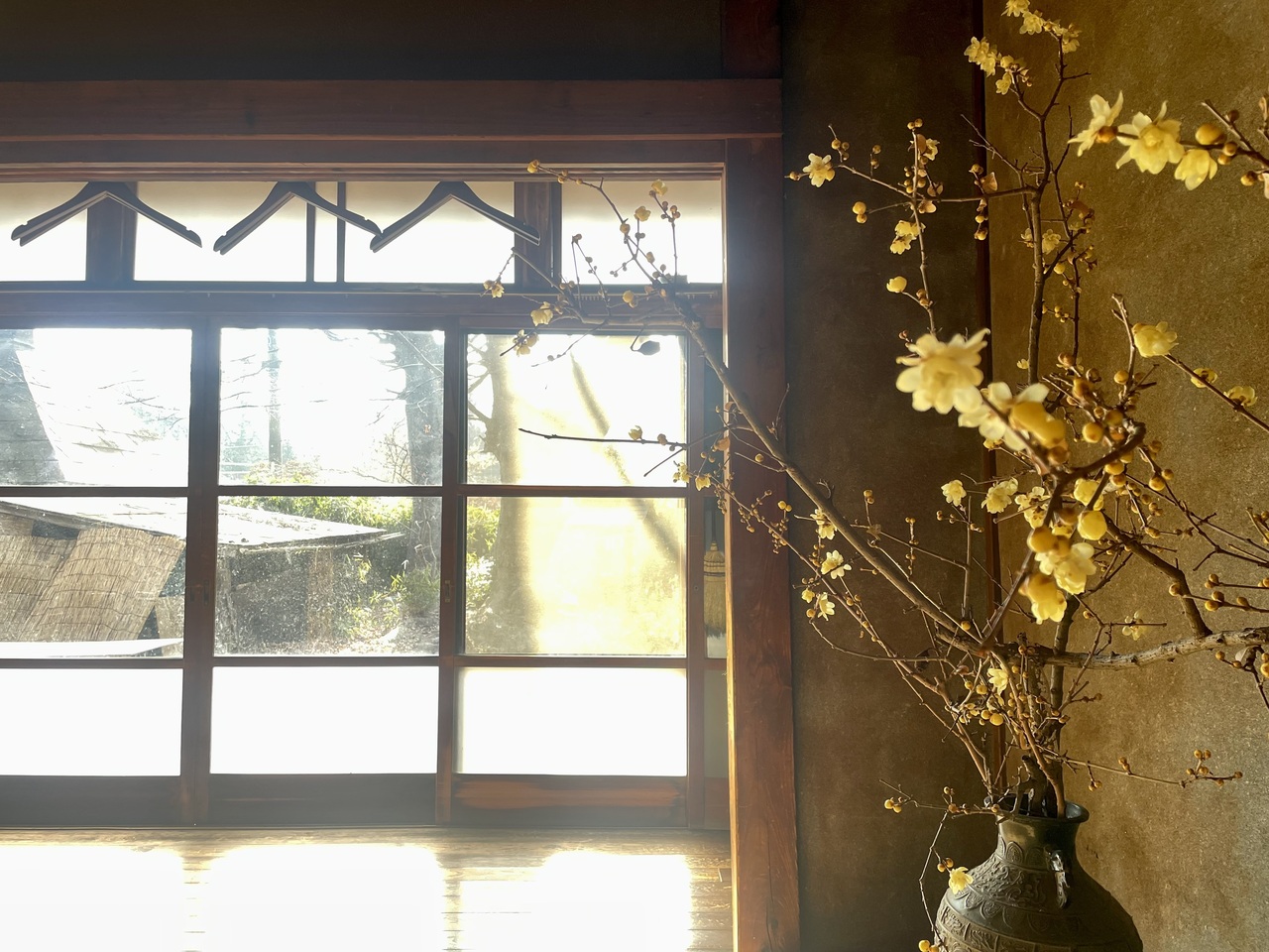 2/11(祝) サットサンガ