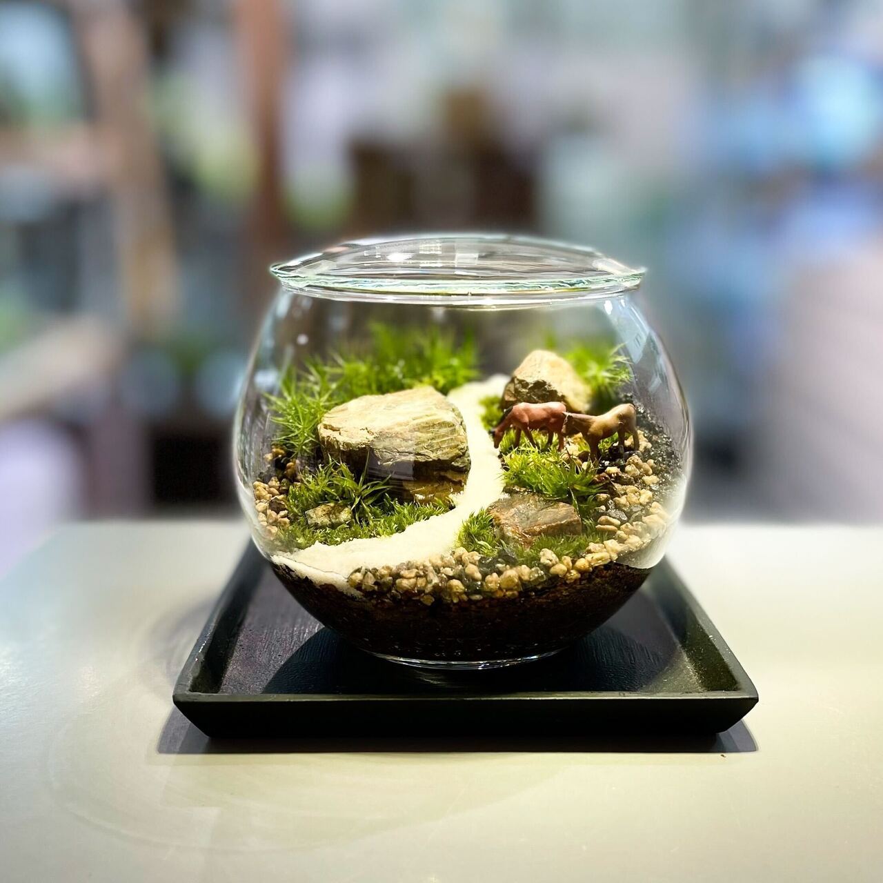 【 阪急うめだ本店 】<基礎編>インテリアに映える苔のテラリウムワークショップ　Feel The Garden【大阪】