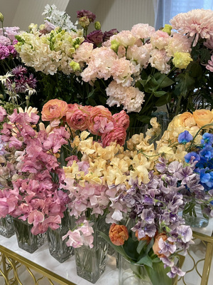 SPECIAL【２月限定 チューリップの華やかブーケ（ADVANCE）】旬のチューリップで可愛すぎる春ブーケを束ねる