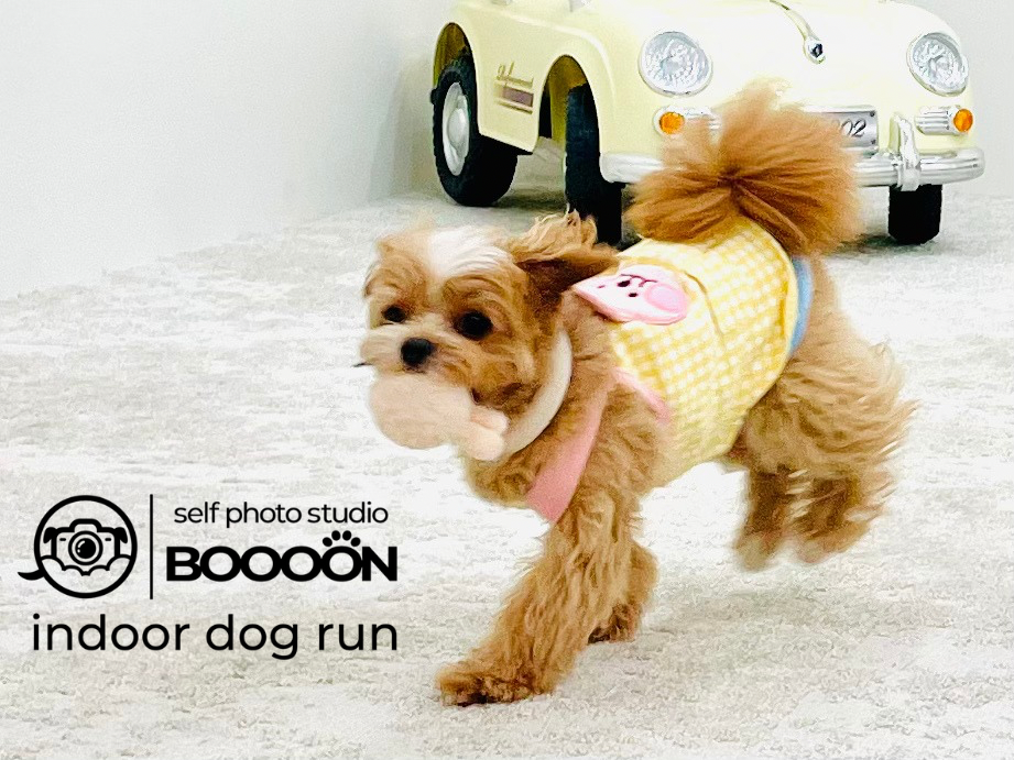 【平日】ご利用Web予約