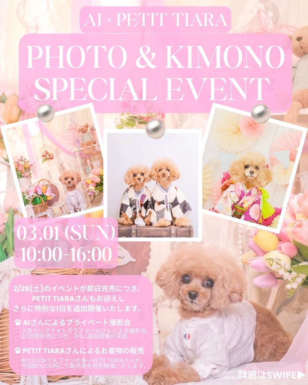 【EVENT】3/1 Dog photographer ai プライベート撮影会