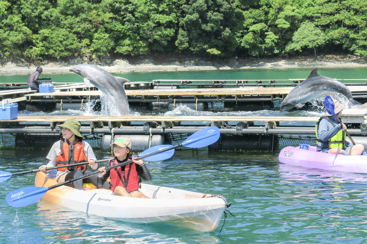 イルカとシーカヤック体験(太地町-第2日程)_和歌山プログラム_ポケマルおやこ地方留学2025夏