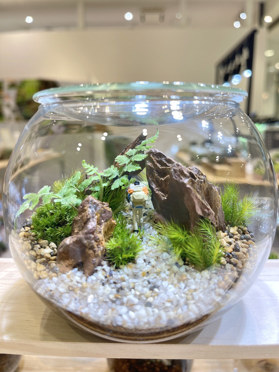 【仙台AER(アエル)店】大人のワークショップ　忙しい大人に癒しのひとときを　苔テラリウムワークショップ