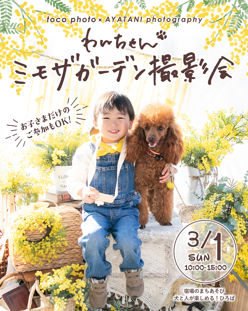 3/1(日) ミモザガーデン撮影会