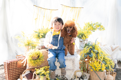 3/1(日) ミモザガーデン撮影会