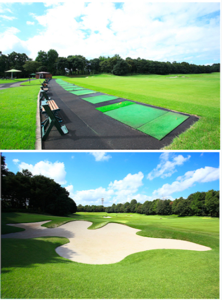 2025/12/17-18 TTGOLF年末　茨城合宿