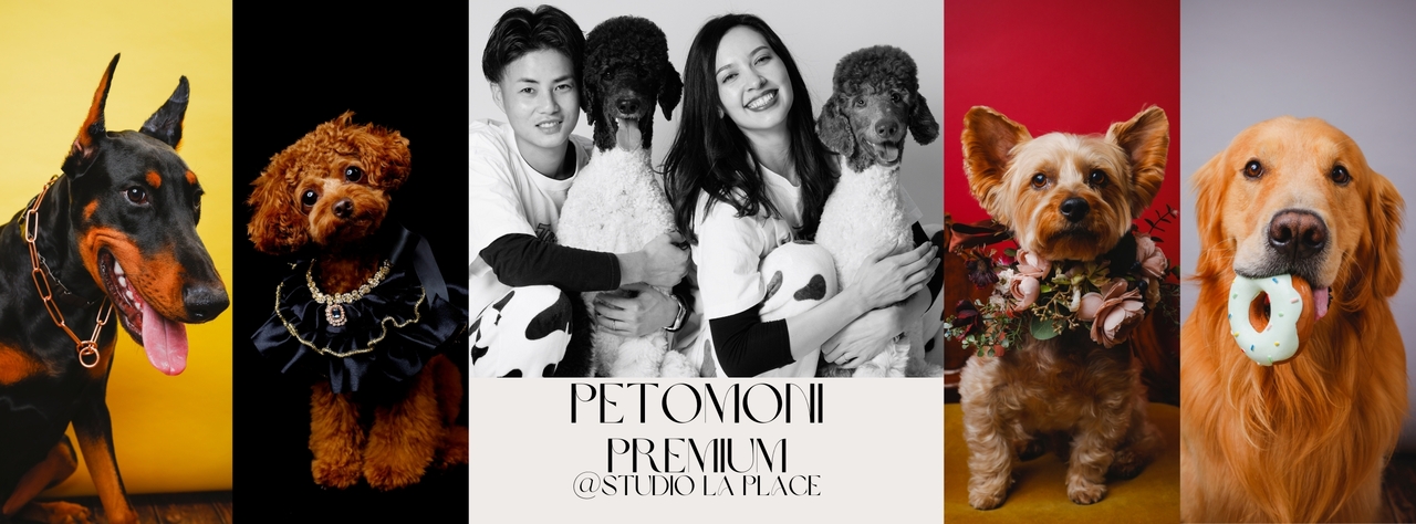 東京都【完全個室撮影会】2026年3月15日（日）＠港区元赤坂 STUDIO LA PLACE