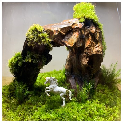 【仙台】苔テラリウムクリエイターコース出張教室説明会