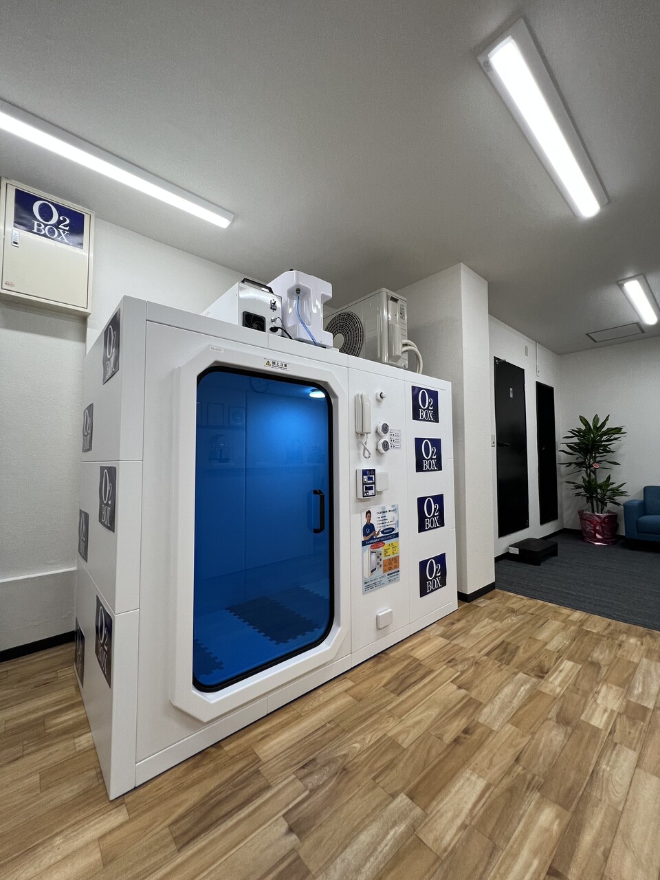 【酸素カプセルサロンのこのこ】🐢🌿