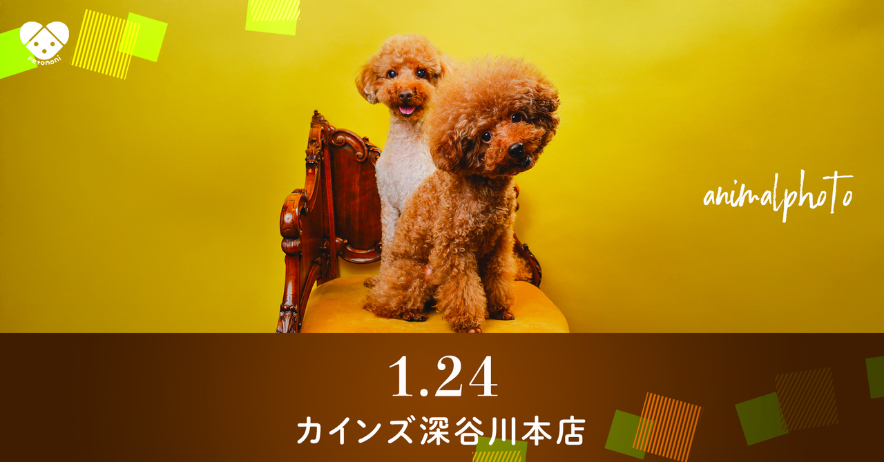 埼玉県【カインズ深谷川本店】2026年1月24日（土）