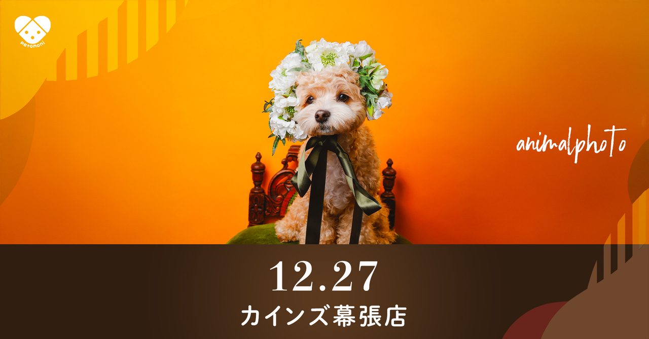 千葉県【カインズ幕張店】2025年12月27日（土）