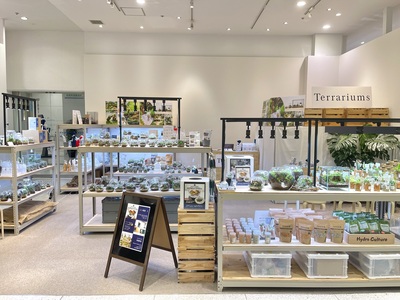 【仙台アエル店】石畳の風景編　癒しのインテリアグリーン　苔テラリウムワークショップ