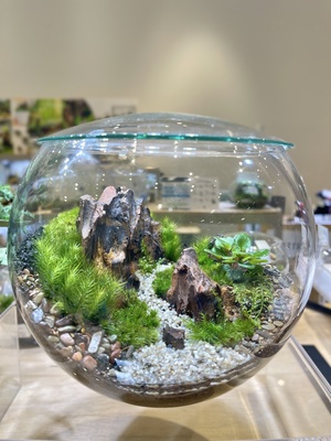 【仙台アエル店】中型編　癒しのインテリアグリーン　苔テラリウムワークショップ