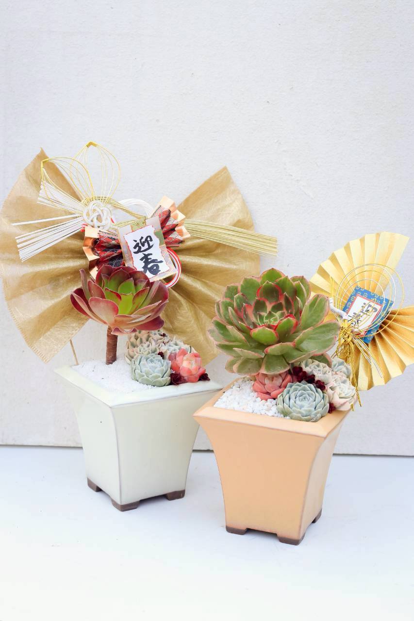 12/17(水)~25(木) 新春を迎える寿〈ことほぎ〉の寄せ植えワークショップ